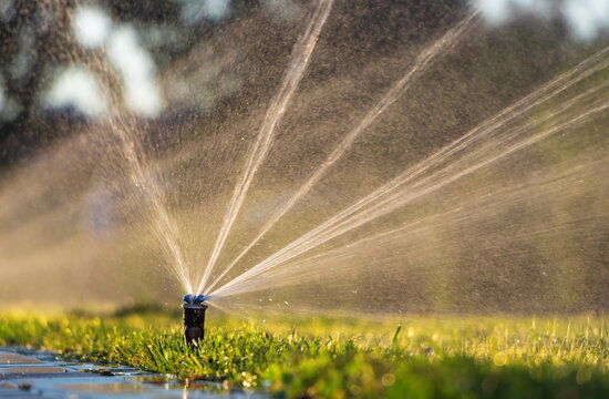 sprinkler3
